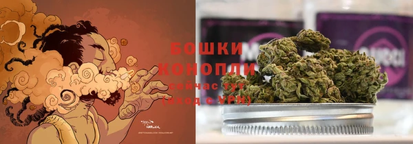 эйфоретик Ельня