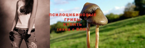 дмт Елабуга