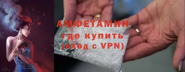 эйфоретик Ельня