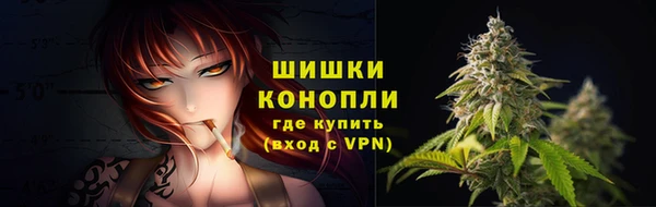 эйфоретик Ельня