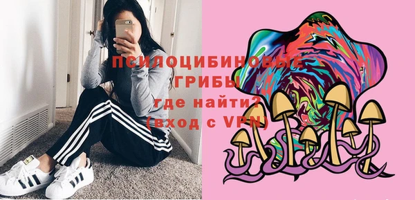 дмт Елабуга