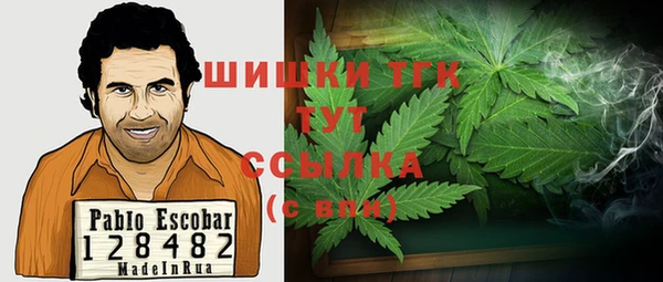 дмт Елабуга