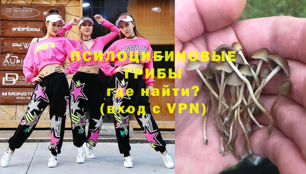 эйфоретик Ельня