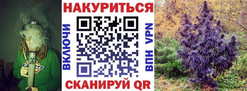 Купить где  Городище  Бошки Шишки Bruce Banner 